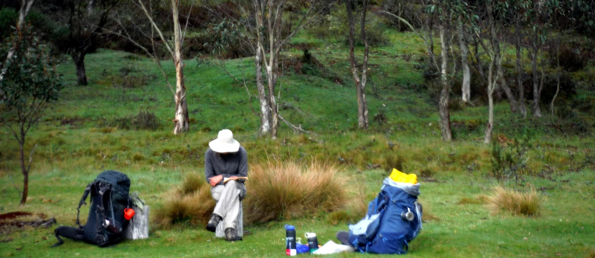 A lady sitting on a stump reading a book about bushwalking experiences