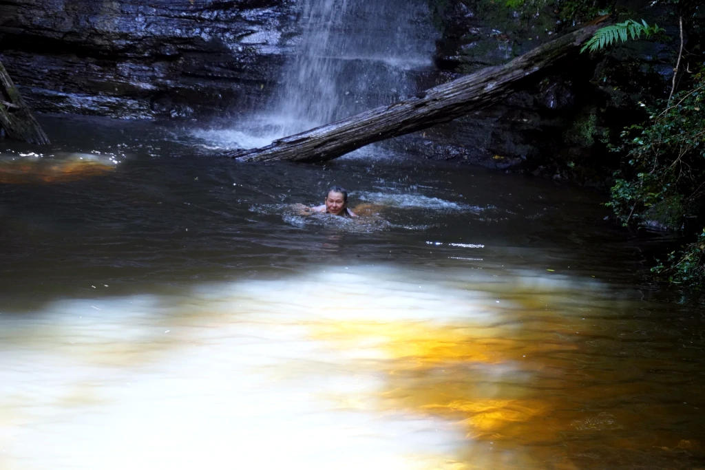 A person is swimming in the pool of water at the bottom of the waterfall on the Watagan Abbotts Falls Walk.