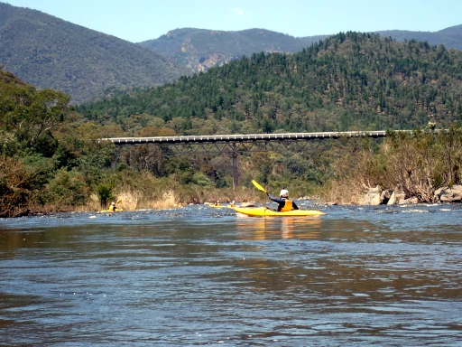 A group of Kayakers are paddling under the McKillops bridge during the Snowy River Kayak Adventure