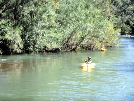 A person is Kayaking along on the Barrington River Kayak Adventure