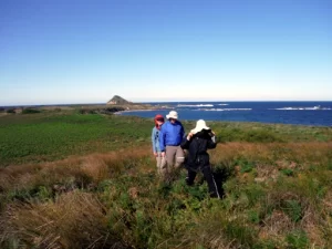 three people are exploring the mutton bird nests after paddling Kayak Port Stephens Broughton Island