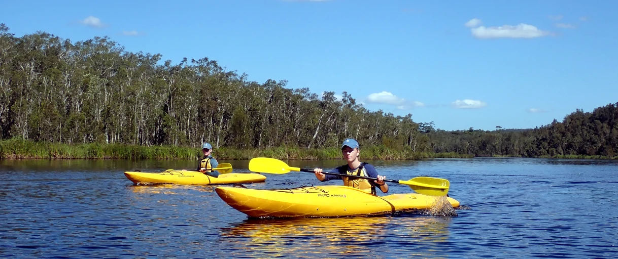 two people are paddling Kayaks across the kale during the Myall Lakes Kayak Adventure