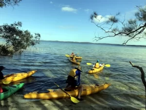 A group of people are paddling away from the shore on the Myall Lakes Kayak Adventure