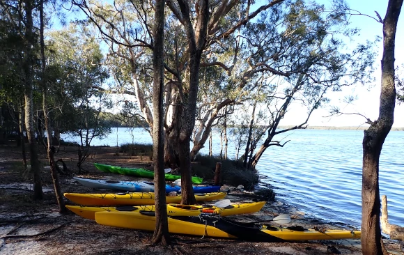 Kayaks on the shore of Myall lakes Guided kayak tour Australia on Myall Lakes NSW with kayaks on edge calm water and forest backdrop